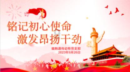 冷水高粱粑怎么做？游戏画面