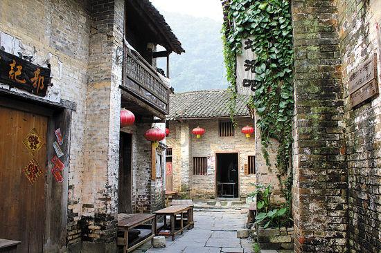 霜降后祛斑，用一叶洗脸，色斑慢慢远离地球